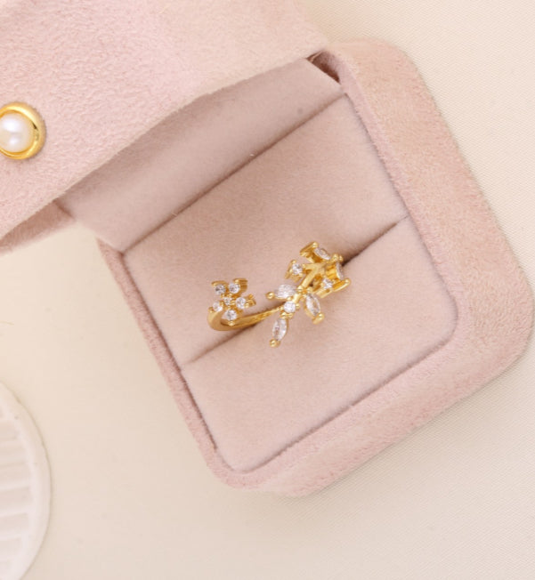 Anillo